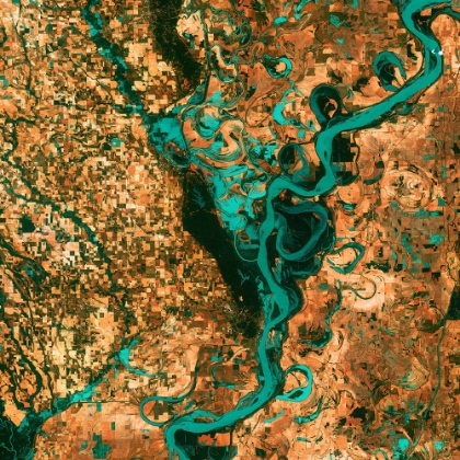 Picture of THE MISSISSIPPI RIVER VIEWED FROM SPACE
