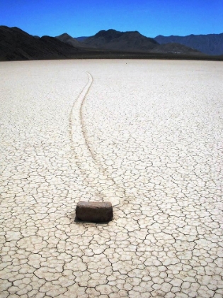 Picture of MOVING ROCKS IN DEATH VALLEY