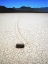 Picture of MOVING ROCKS IN DEATH VALLEY