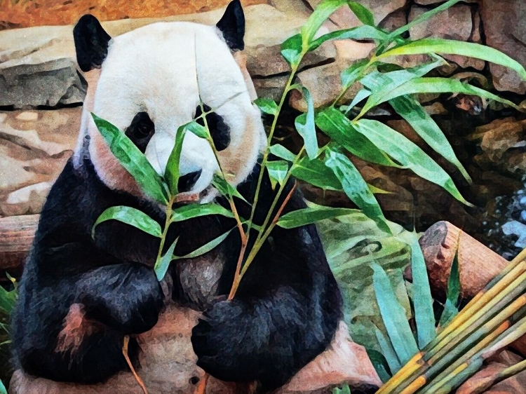 Picture of GIANT PANDA BAMBOO SNACK