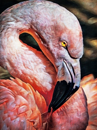 Picture of FLAMINGO FLIRTATION