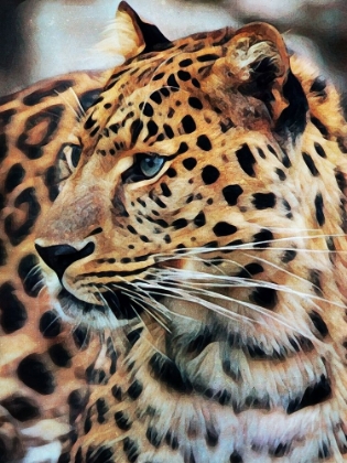 Picture of LEOPARD IN LONGING