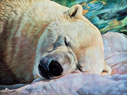 Picture of POLAR BEAR DREAMING