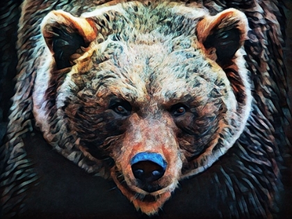 Picture of BROWN BEAR STARE