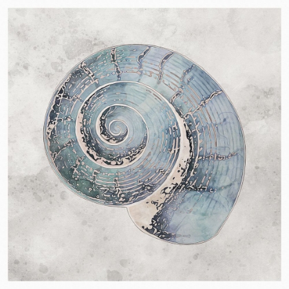 Picture of BLUE WATERCOLOUR SEASHELLS II