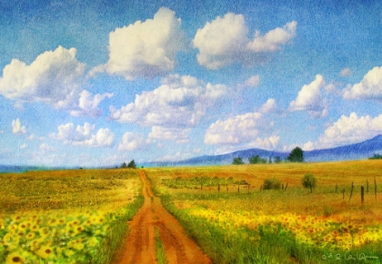 Picture of ROAD TO SKY
