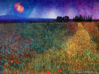 Picture of WHEAT FIELD AND TREES