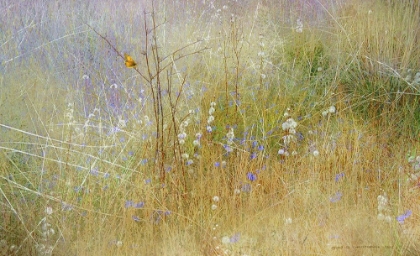 Picture of MEADOW MURAL