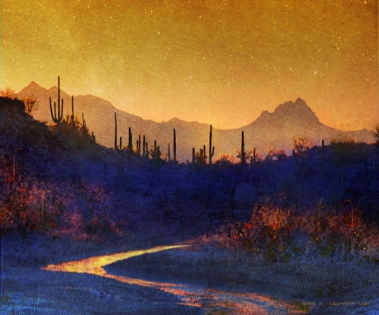 Picture of SUNSET SAGUAROS STREAM