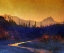 Picture of SUNSET SAGUAROS STREAM