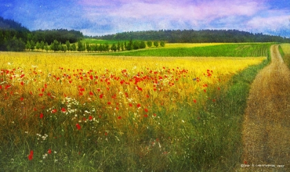 Picture of BARLEY AND POPPIES