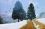 Picture of ORANGE MOUNTAIN ROAD