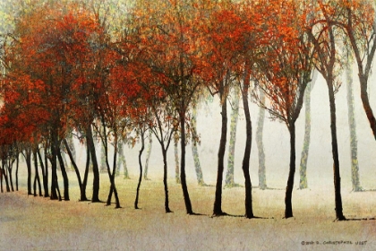 Picture of ROW OF TREES RED