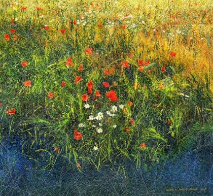 Picture of BARLEY AND POPPIES