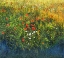 Picture of BARLEY AND POPPIES