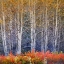 Picture of ASPENS AND BRIAR