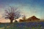 Picture of BARN ON HILL
