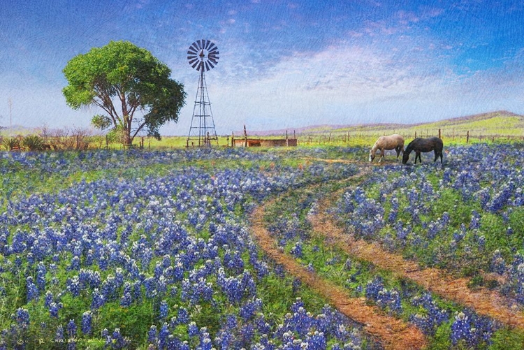 Picture of WINDMILL AND LANDSCAPE