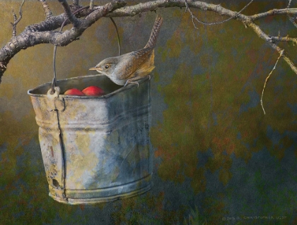 Picture of APPLE BUCKET WREN