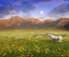 Picture of WHITE HORSE MOUNTAIN