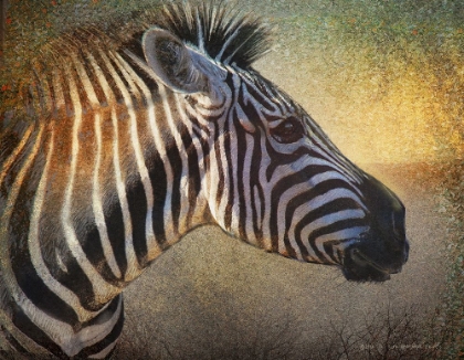 Picture of ZEBRA PORTRAIT