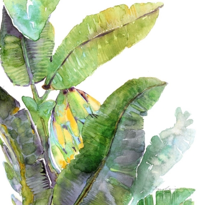 Picture of BANANA LEAVES ONE