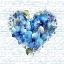Picture of BLUE FLORAL ROMANCE