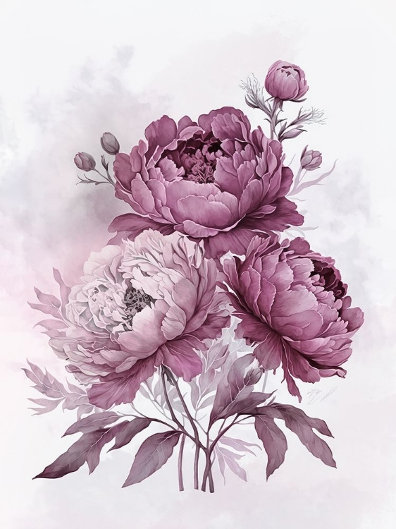 Picture of BLUSH PINK PEONIES NOSTALGIA II