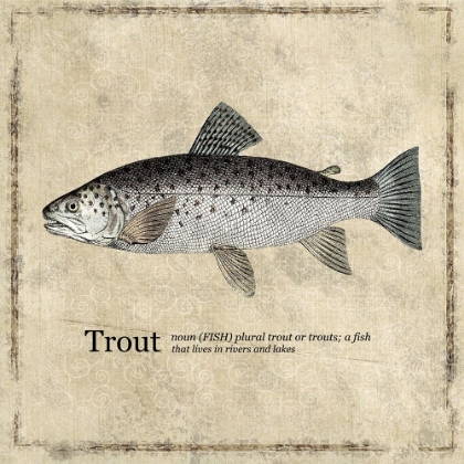Picture of FISH TROUT