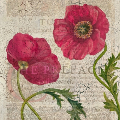 Picture of POPPY PAGES SQUARE I