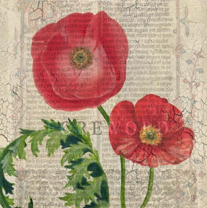 Picture of POPPY PAGES SQUARE II