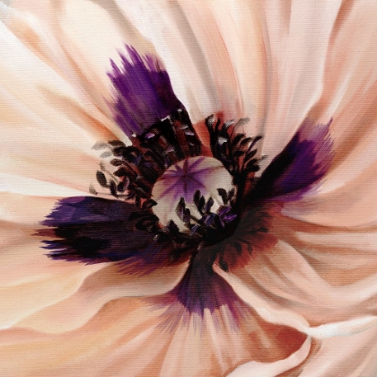 Picture of POPPY DREAMS II