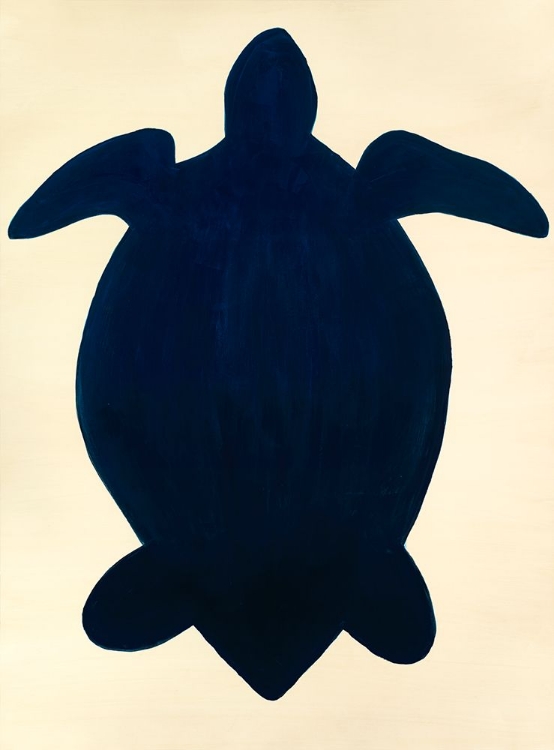 Picture of TURTLE