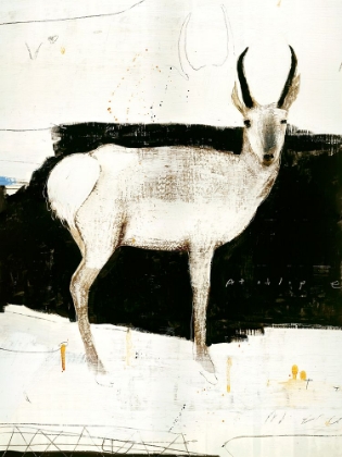 Picture of WHITE ANTELOPE