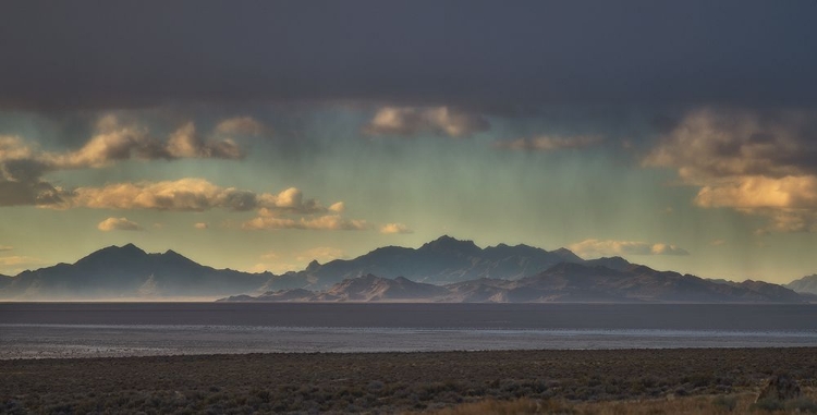 Picture of WEST DESERT LANDSCAPE 2