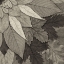 Picture of LEAF MANDALA D