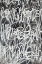 Picture of UNTITLED