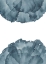 Picture of SEA PETALS 2