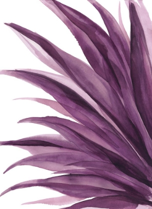 Picture of VIOLET PALMS 1
