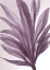 Picture of VIOLET PALMS 2