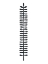 Picture of TALL FERN