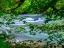 Picture of RIVER 2