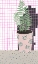 Picture of TABLE PLANT 1