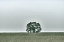 Picture of MONTANA MOUNTAINS 6