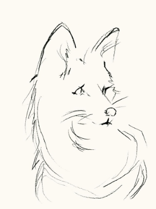 Picture of FOX SKETCH 2