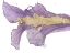 Picture of GOLDEN CONTOURS 4