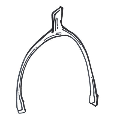 Picture of LUCKY WISHBONE 1