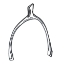 Picture of LUCKY WISHBONE 1