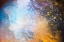 Picture of FOREST