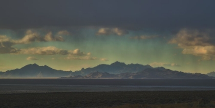 Picture of WEST DESERT LANDSCAPE 1